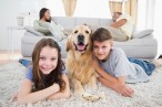 Rental property management
