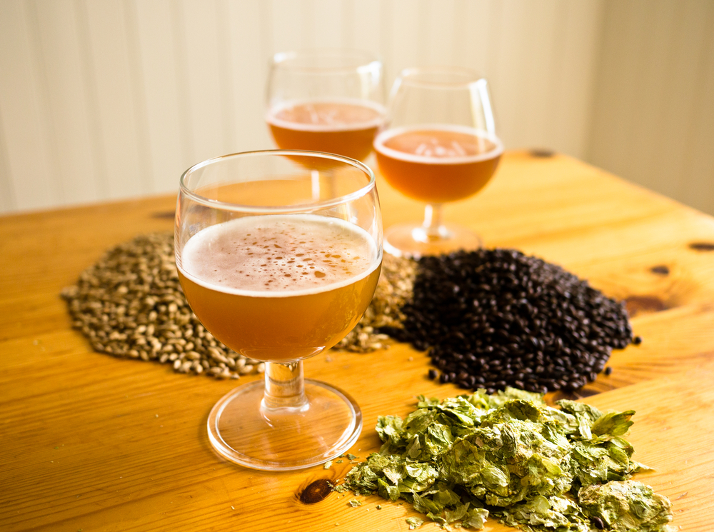 The Growing Trend of Home Brewing